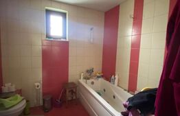 Casa individuala, 300 mp, Salcea