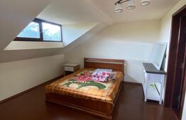 Casa individuala, 300 mp, Salcea