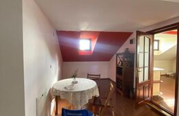 Casa individuala, 300 mp, Salcea