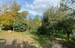 Casa individuala, 300 mp, Salcea