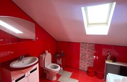 Casa individuala, 300 mp, Salcea