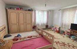 Casa individuala, 300 mp, Salcea