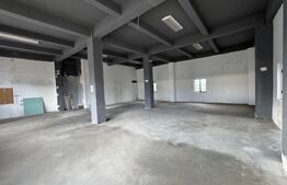 Spatiu comercial, 393 mp cu parcare privata, zona cu vad Burdujeni 