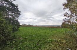 Casa individuala, 60mp, teren 3000mp, zona Padureni, Siret