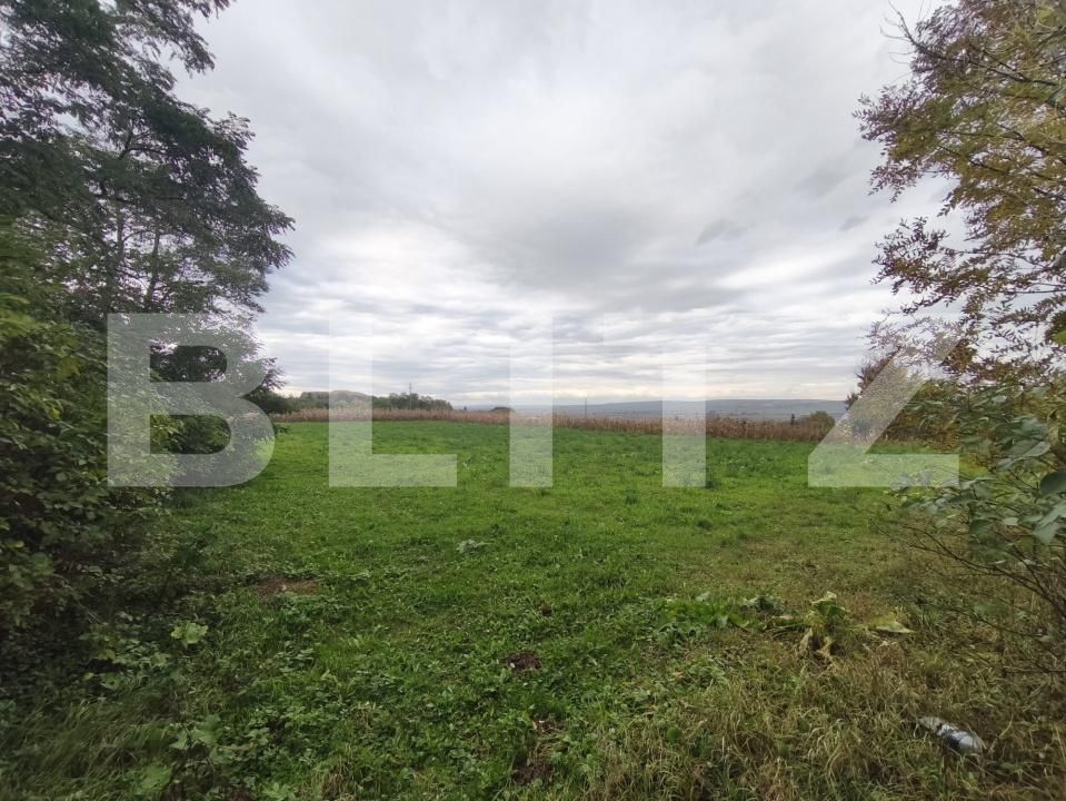 Casa de vânzare 2 camere Siret - 180107CV | BLITZ Suceava | Poza11