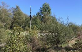 Teren imprejmuit cu iaz indiguit, 7200mp, Fratautii Vechi, Radauti