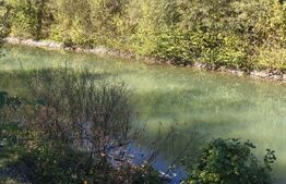 Teren imprejmuit cu iaz indiguit, 7200mp, Fratautii Vechi, Radauti