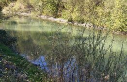 Teren imprejmuit cu iaz indiguit, 7200mp, Fratautii Vechi, Radauti