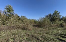 Teren imprejmuit cu iaz indiguit, 7200mp, Fratautii Vechi, Radauti