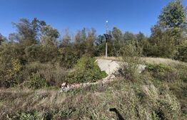 Teren imprejmuit cu iaz indiguit, 7200mp, Fratautii Vechi, Radauti