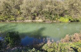 Teren imprejmuit cu iaz indiguit, 7200mp, Fratautii Vechi, Radauti