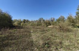 Teren imprejmuit cu iaz indiguit, 7200mp, Fratautii Vechi, Radauti