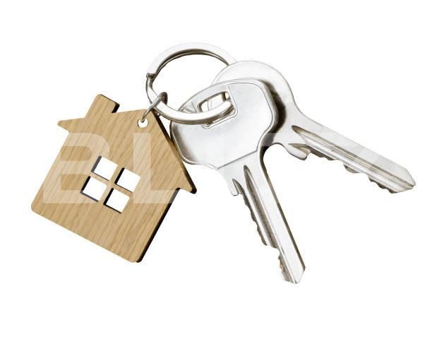 Spațiu industrial de închiriat Falticeni - 180391SII | BLITZ Suceava | Poza1