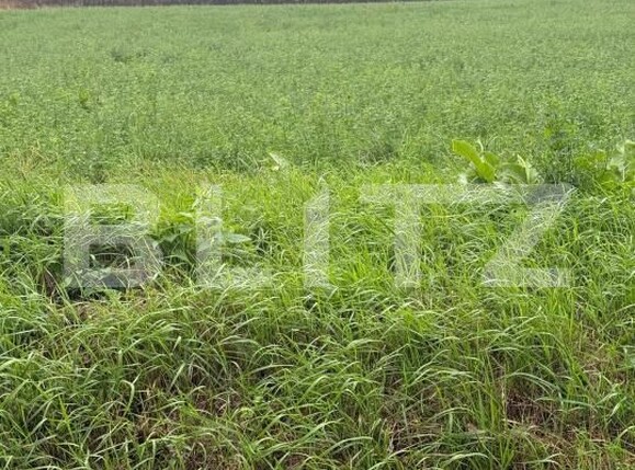 Teren de vânzare Periferie - 180650TV | BLITZ Suceava | Poza3