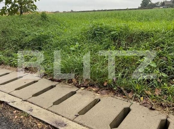 Teren de vânzare Periferie - 180650TV | BLITZ Suceava | Poza2