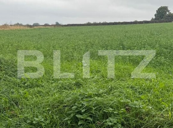 Teren de vânzare Periferie - 180650TV | BLITZ Suceava | Poza1
