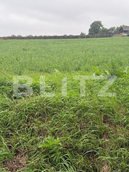 Teren de vânzare Periferie - 180650TV | BLITZ Suceava | Poza3