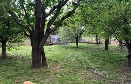 Teren intravilan + constructie, 1554 mp, Bosanci