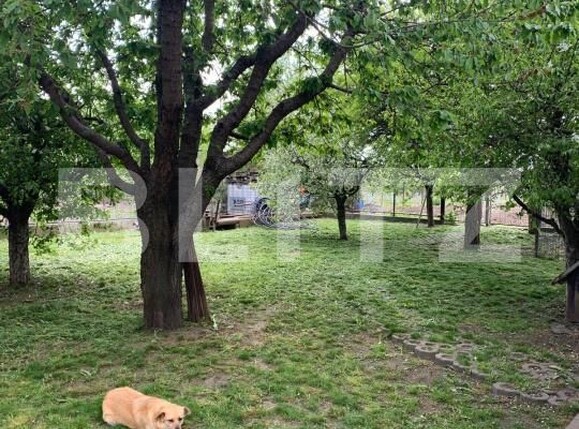 Teren de vânzare Periferie - 180754TV | BLITZ Suceava | Poza1