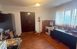 Casa etaj, 300 mp utili, 1000 mp teren, zona Scheia