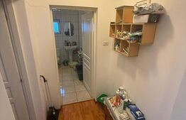 Casa etaj, 300 mp utili, 1000 mp teren, zona Scheia