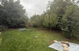 Casa etaj, 300 mp utili, 1000 mp teren, zona Scheia