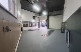 Hala cu  2 canale, 100 mp, spatiu birouri, Burdujeni