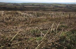 Teren de vânzare Nord Est - 152435TV | BLITZ Suceava | Poza2