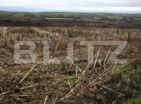 Teren de vânzare Siret - 181213TV | BLITZ Suceava | Poza2