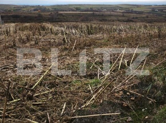 Teren de vânzare Siret - 181213TV | BLITZ Suceava | Poza3