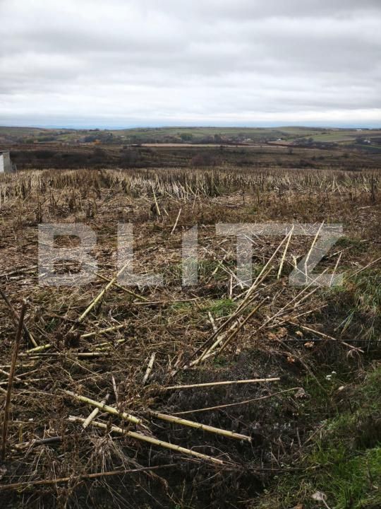 Teren de vânzare Siret - 181213TV | BLITZ Suceava | Poza4