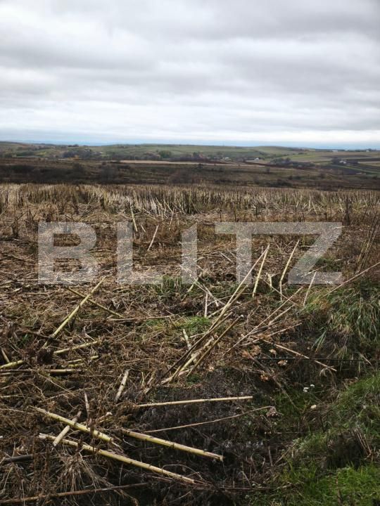 Teren de vânzare Siret - 181213TV | BLITZ Suceava | Poza2