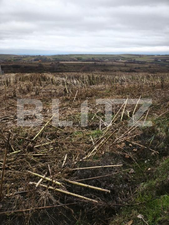 Teren de vânzare Siret - 181213TV | BLITZ Suceava | Poza3