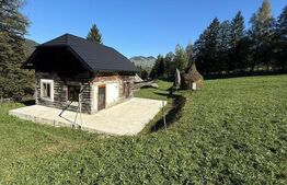 Teren intravilan 9368 mp, front 174 ml, localitatea Pojorata - Suceava