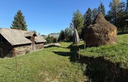 Teren intravilan 9368 mp, front 174 ml, localitatea Pojorata - Suceava