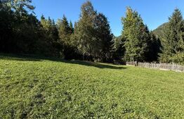 Teren intravilan 9368 mp, front 174 ml, localitatea Pojorata - Suceava