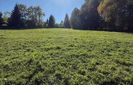 Teren intravilan 9368 mp, front 174 ml, localitatea Pojorata - Suceava