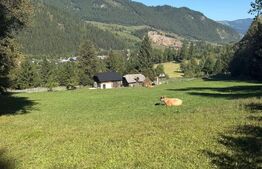 Teren intravilan 9368 mp, front 174 ml, localitatea Pojorata - Suceava