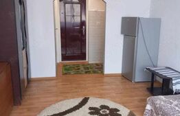Garsonieră de vanzare, 24 mp - etaj 1 - Zona Burdujeni