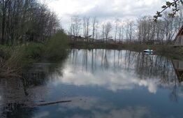 Teren cu iaz amenajat și două cabane A - frame în construcție