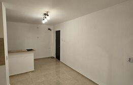 Apartament spatios, 4 camere, zona Obcini