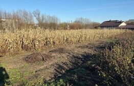 Casa batraneasca, 50 mp si teren intravilan 4900 mp, Udesti