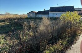 Casa batraneasca, 50 mp si teren intravilan 4900 mp, Udesti