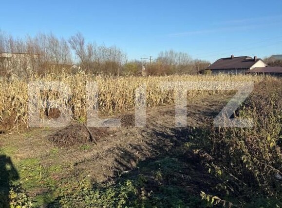 Casa de vânzare 3 camere Sud Est - 182118CV | BLITZ Suceava | Poza8