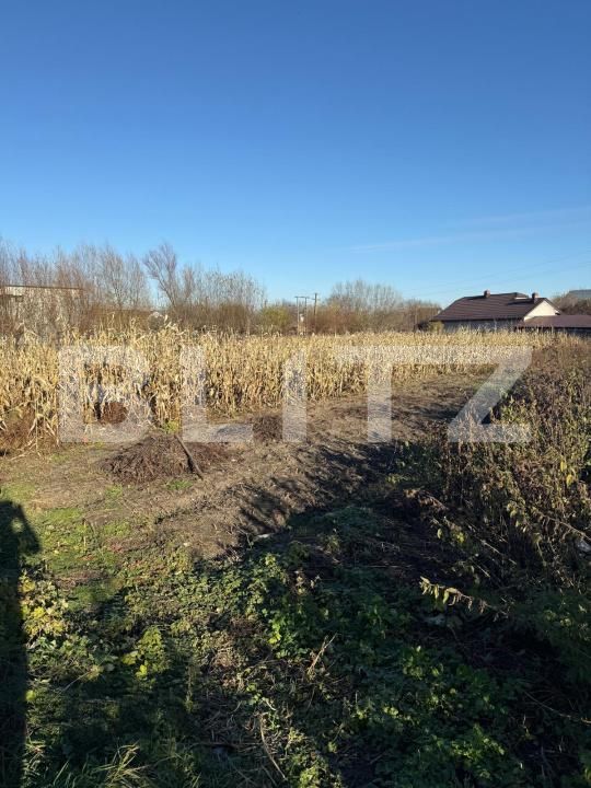 Casa de vânzare 3 camere Sud Est - 182118CV | BLITZ Suceava | Poza8