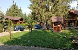 Pensiune 3 Margarete | 7 Camere | 270 mp | 1.750 mp Teren | Poiana Negrii 