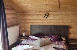 Pensiune 3 Margarete | 7 Camere | 270 mp | 1.750 mp Teren | Poiana Negrii 