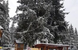 Pensiune 3 Margarete | 7 Camere | 270 mp | 1.750 mp Teren | Poiana Negrii 