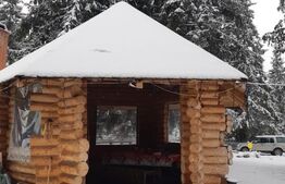 Pensiune 3 Margarete | 7 Camere | 270 mp | 1.750 mp Teren | Poiana Negrii 