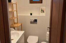 Pensiune turistică complet funcțională, cu saună rusească, zona Cacica, Suceava